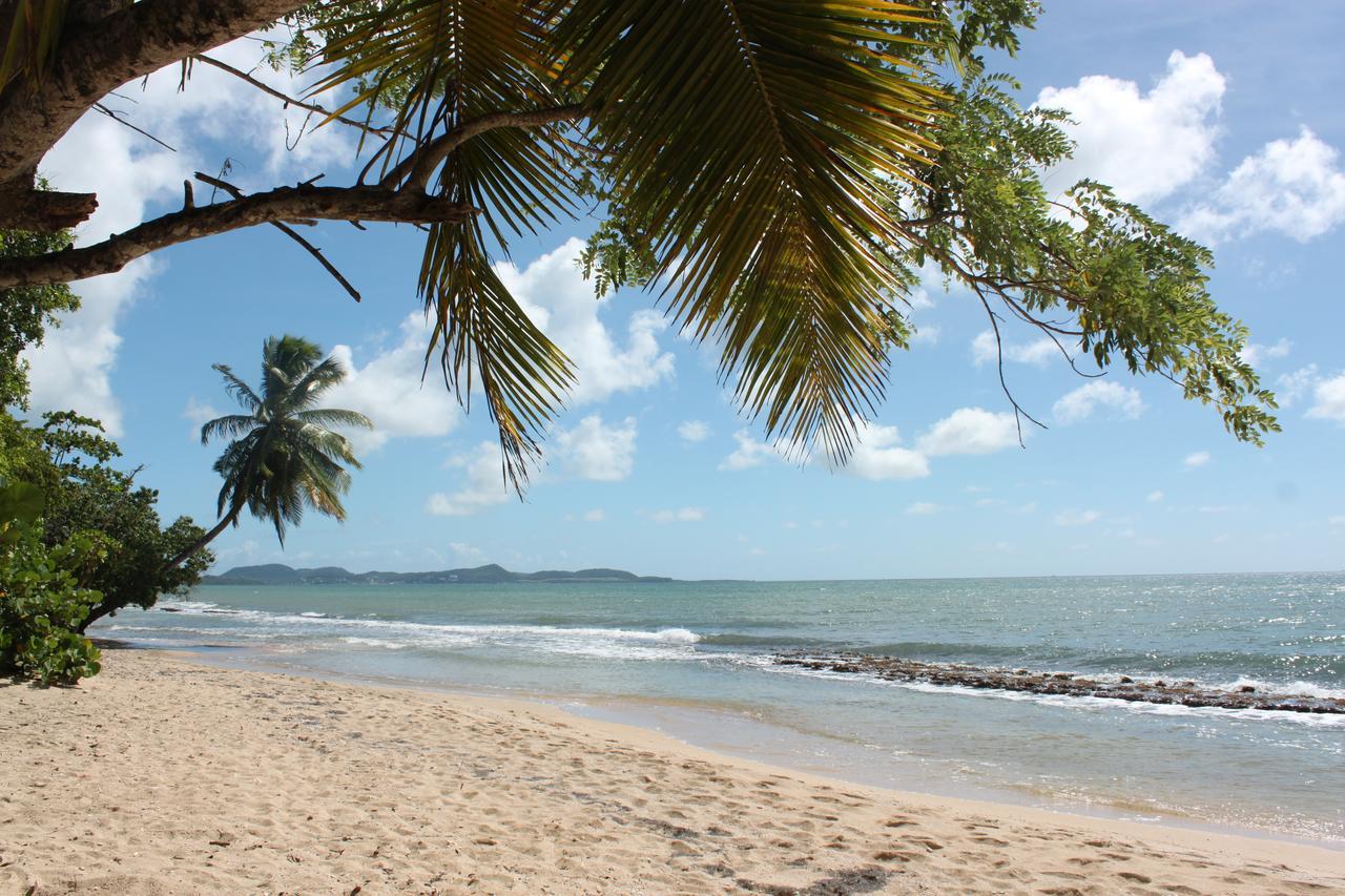 Casa de férias Bungalow Petit Paradis *
