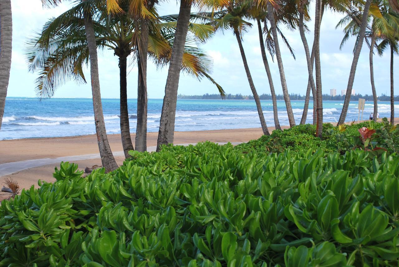 1 Bedroom Beachfront At Rio Mar Río Grande