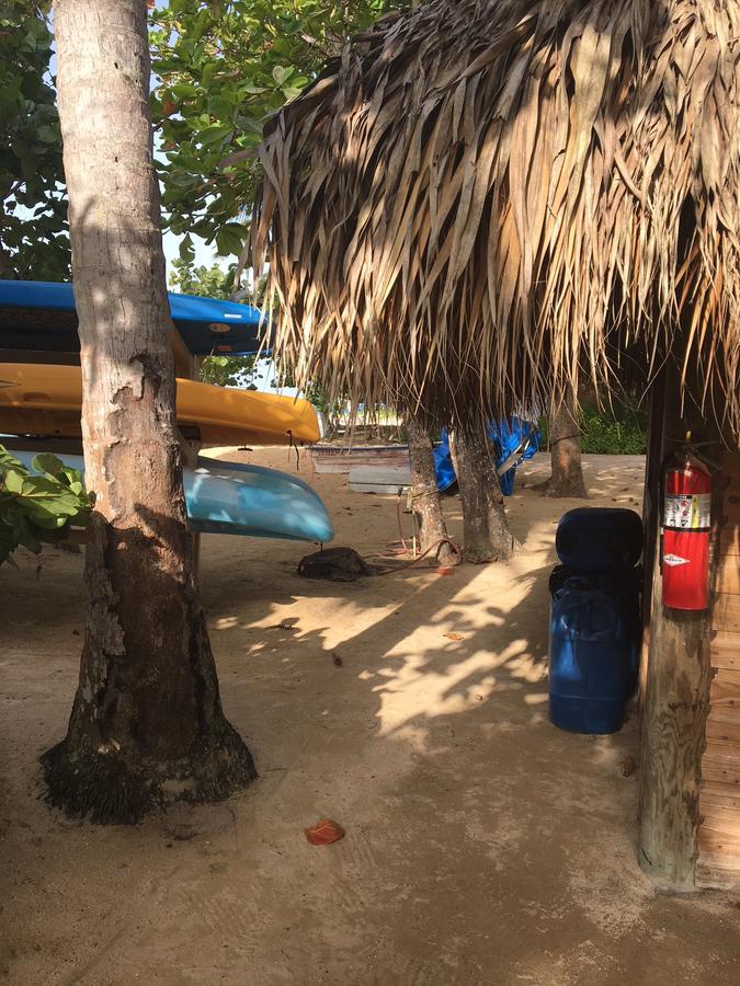 Your Second Away Las Terrenas