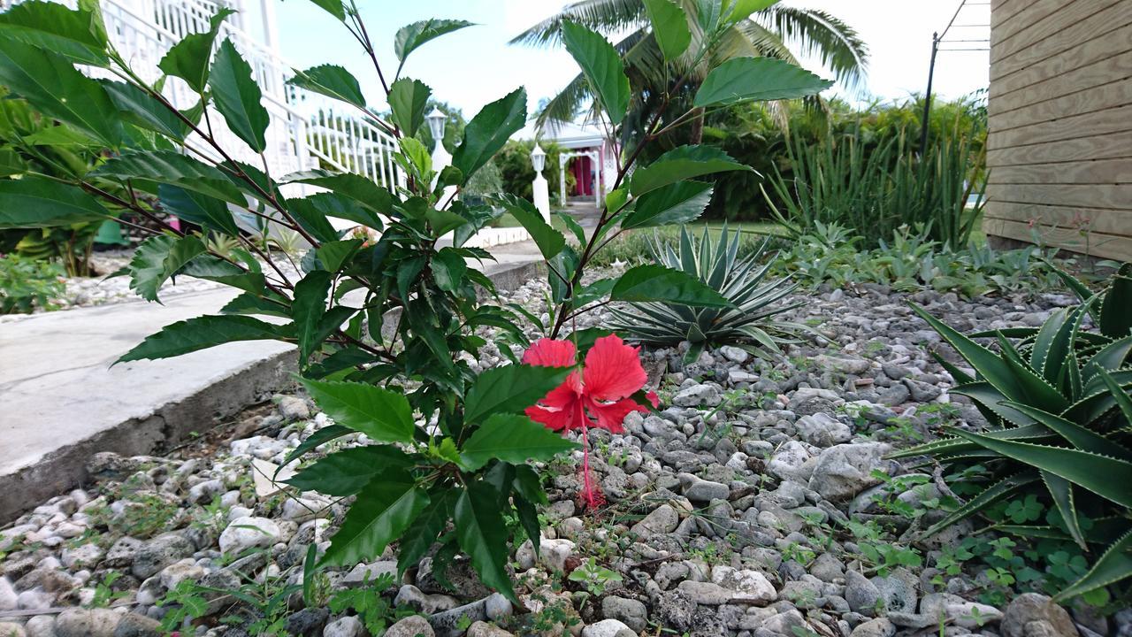 Acacia Holiday home Belle-Allee