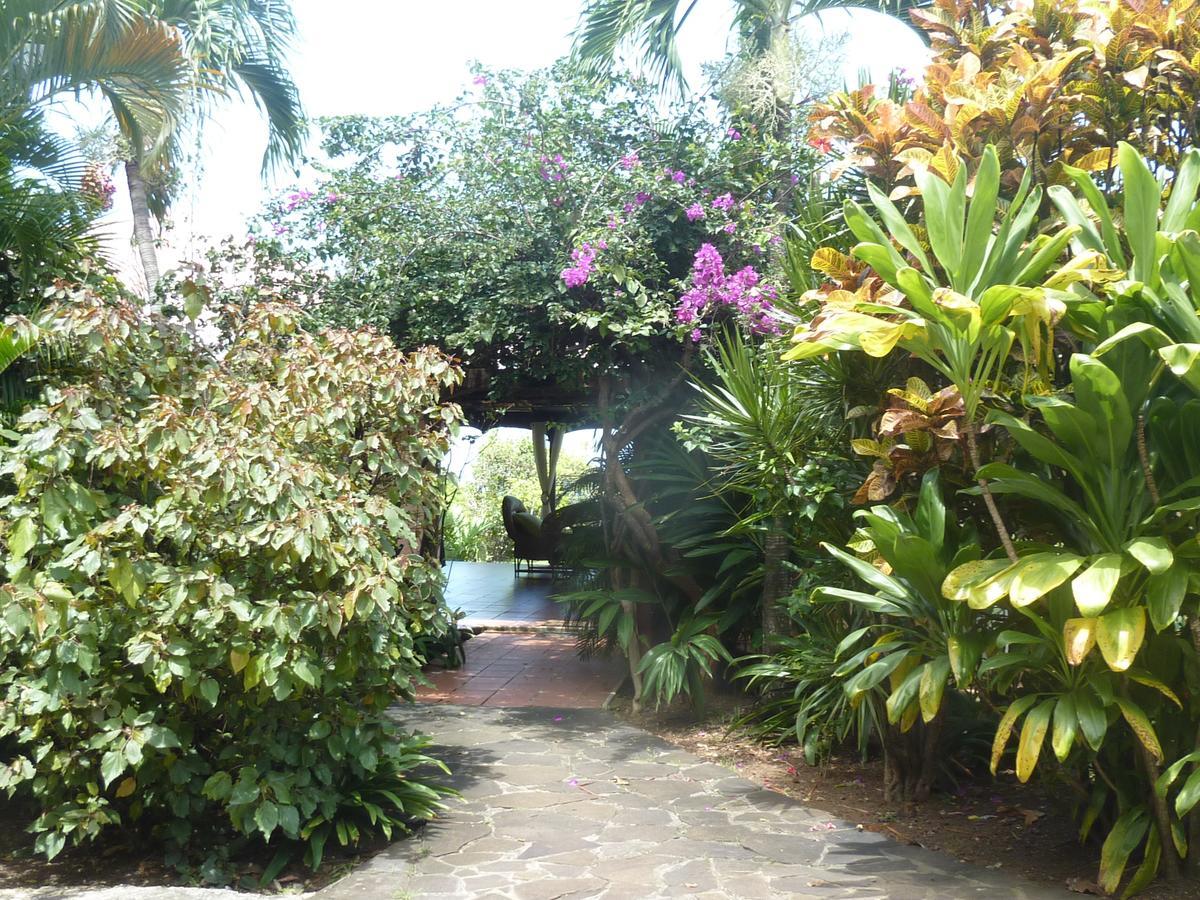 Guest house D'hotes 
