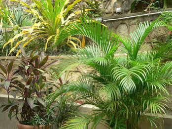 Coblentz Boutique 2* Port of Spain