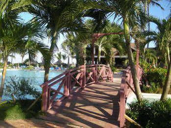 Vik Arena Blanca Punta Cana
