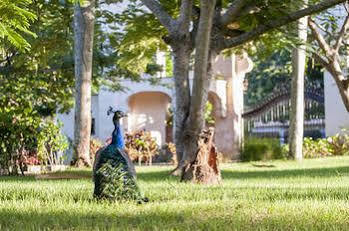 The Palace At Playa Grande 4* Río San Juan