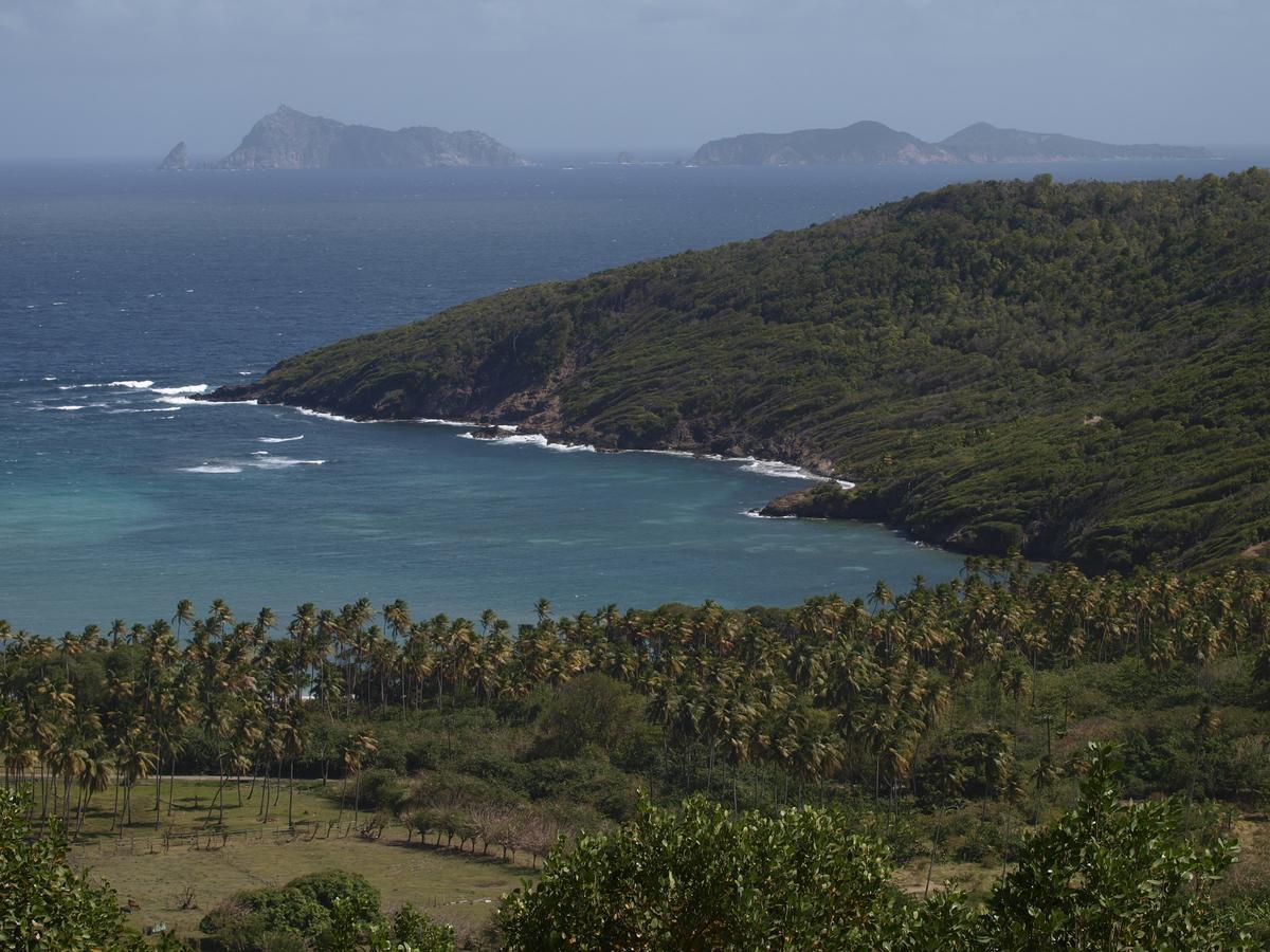 Hotel Firefly Estate Bequia