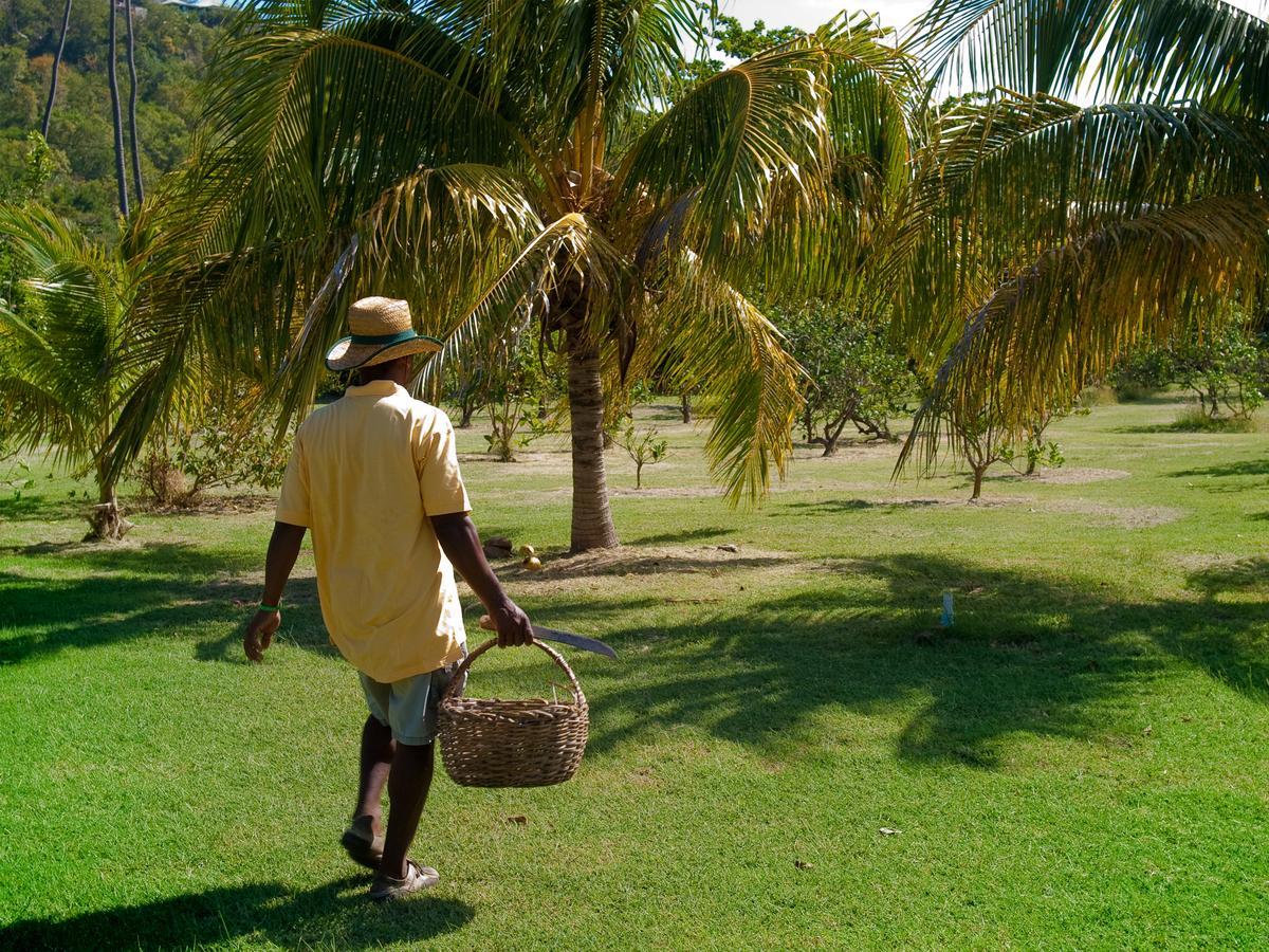 Firefly Estate Bequia