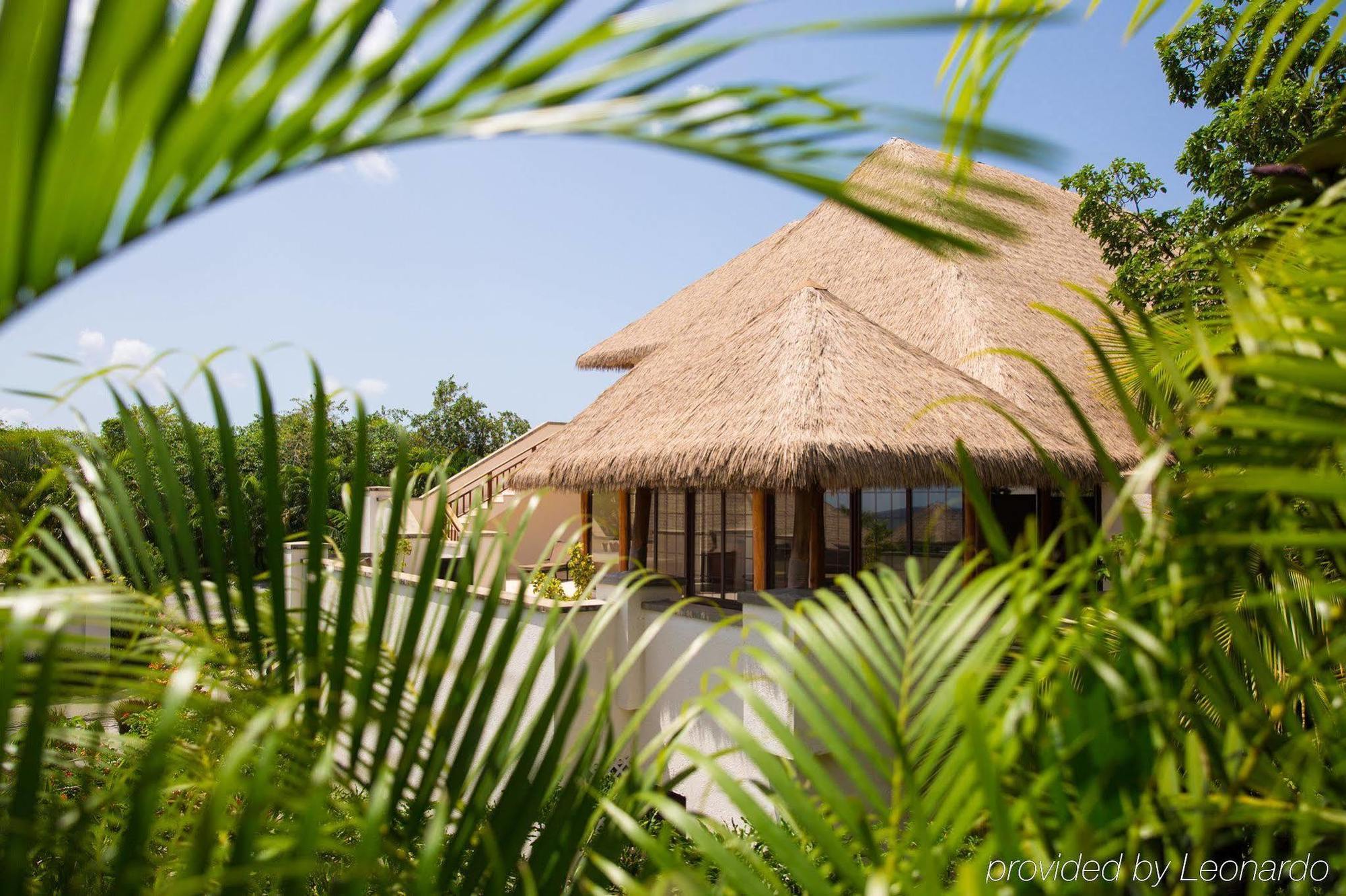 Paradise Villa