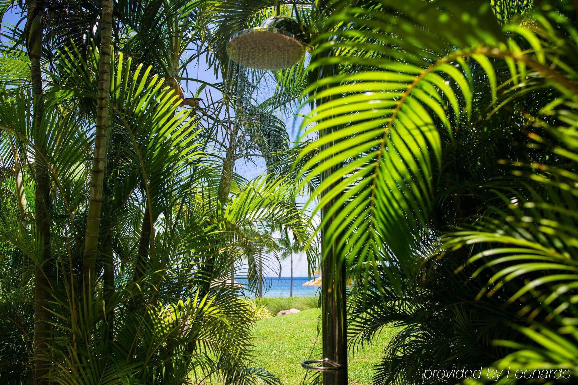 Paradise * Nevis