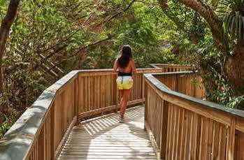 Resort Eco Concordia