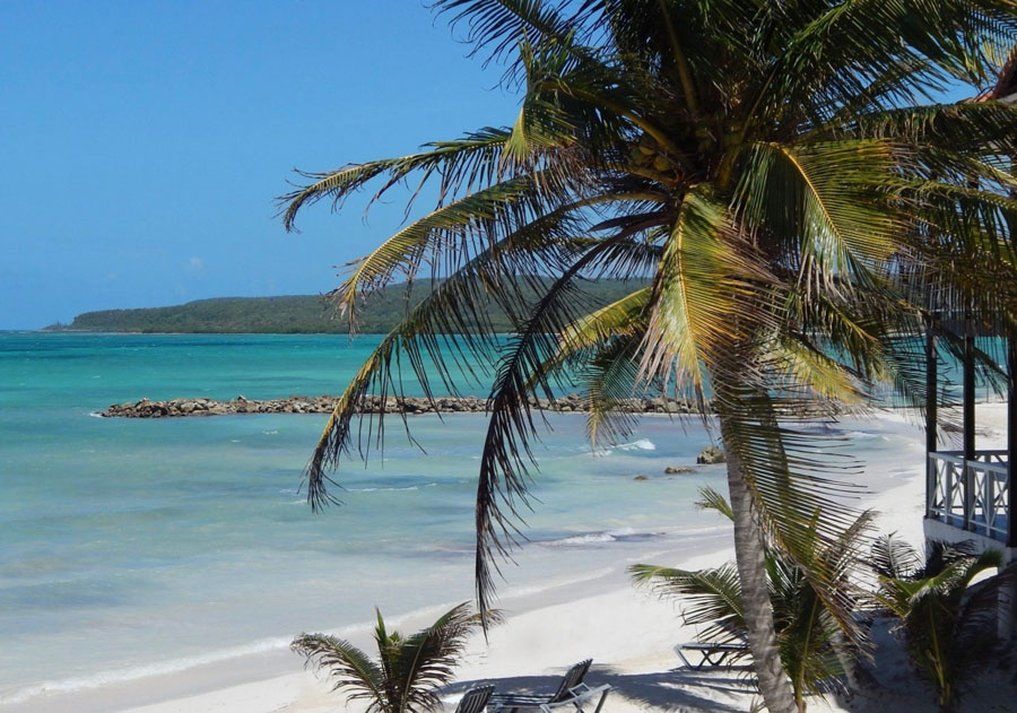 Mangos Jamaica Adults Only Falmouth