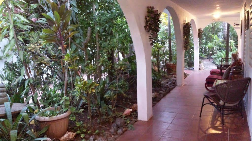 Hotel Coconut Palms