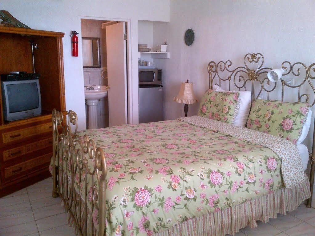 Coconut Palms 2* Rincon