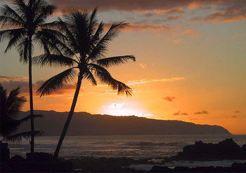 Hotel Island Beachcomber 2*
