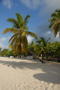 Island Beachcomber Hotel 2*