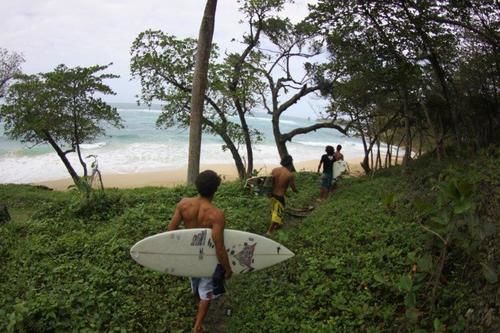 The Coconut Palms * Cabarete