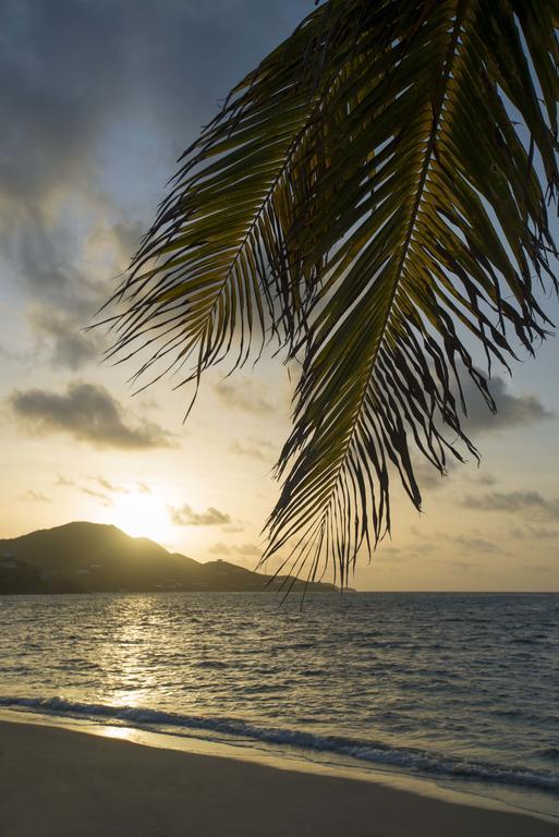 Resort Carina Bay Boutique & Casino (adults Only) 4*