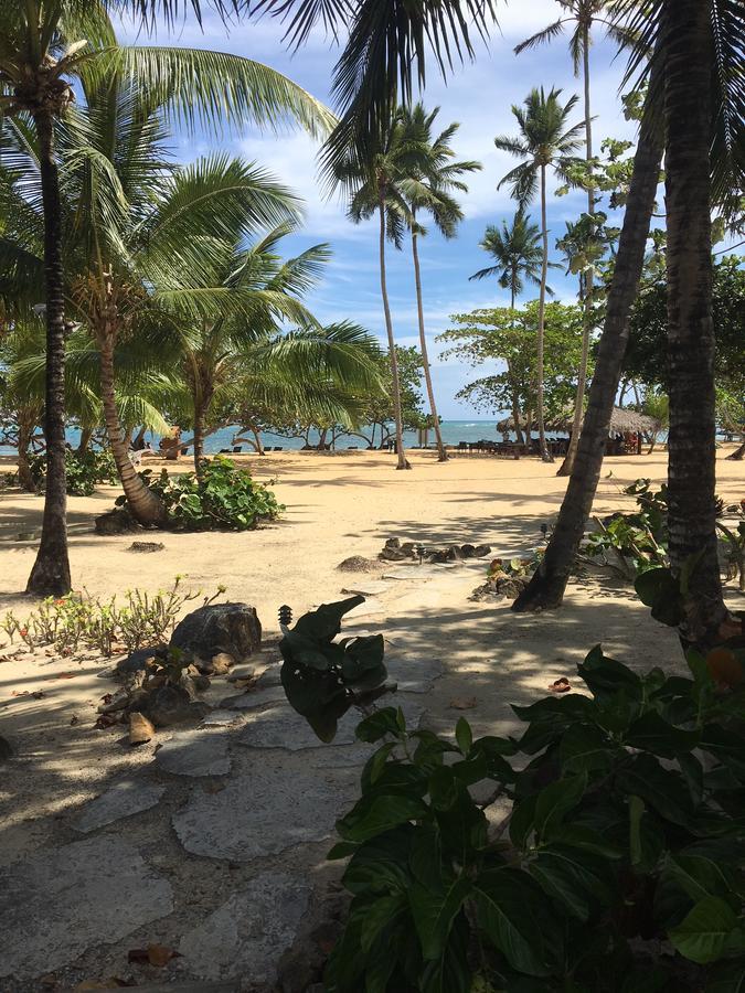 Your Second Away Apartment Las Terrenas