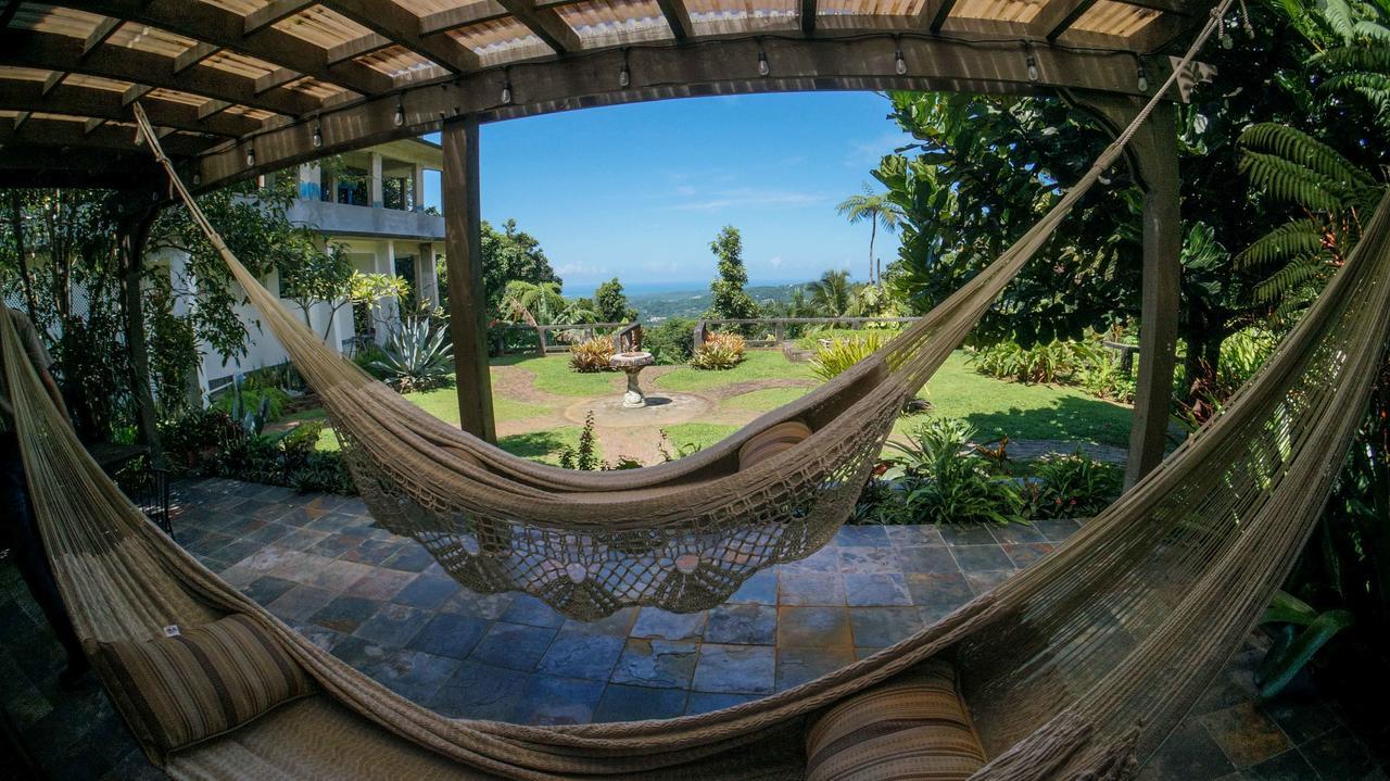 Bed & Breakfast El Yunque Rainforest 4*