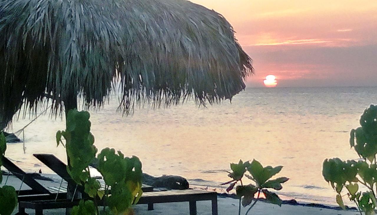 Alojamento Eco Cayo Arena Beach House - Adults Only *