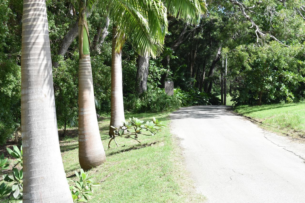 Flamboyant Beach House * Saint James