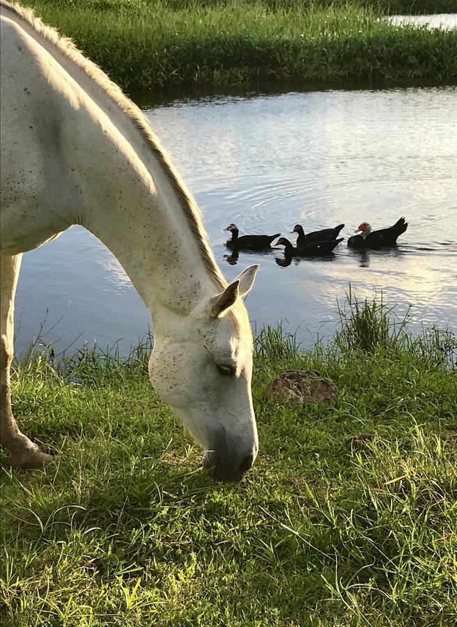 La Ferme Des Etangs