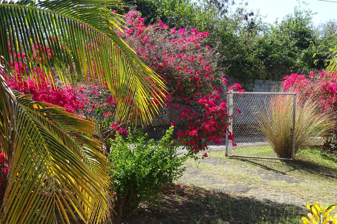 Tranquility By The Sea * Vieques