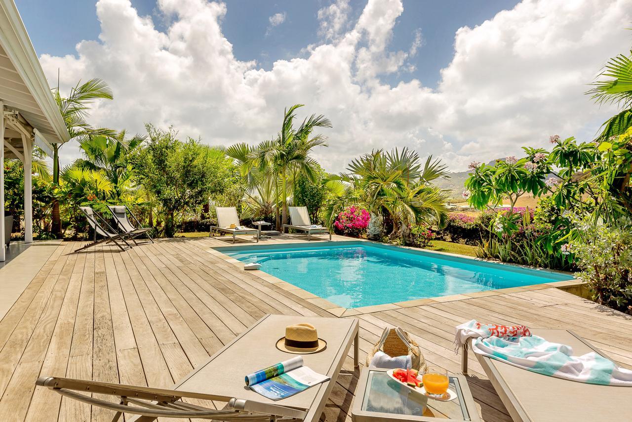 Resort Palm *