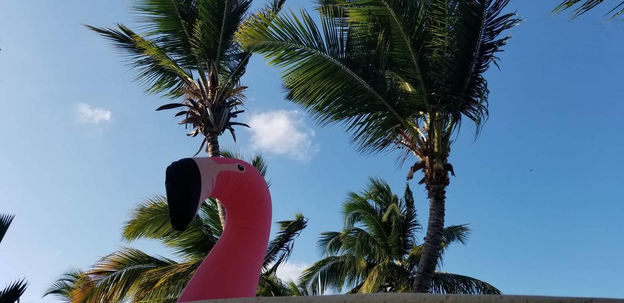 Los Jardines Hotel San Fernando de Monte Cristi