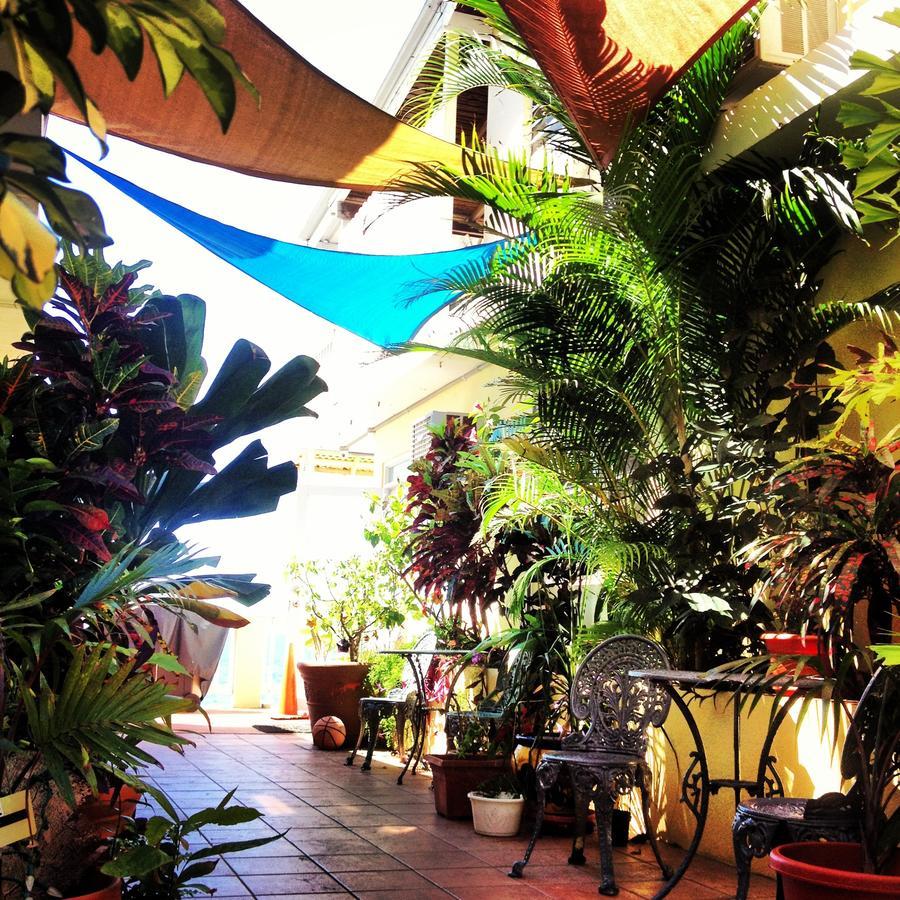Lemon Tree Ocean Front * Rincon