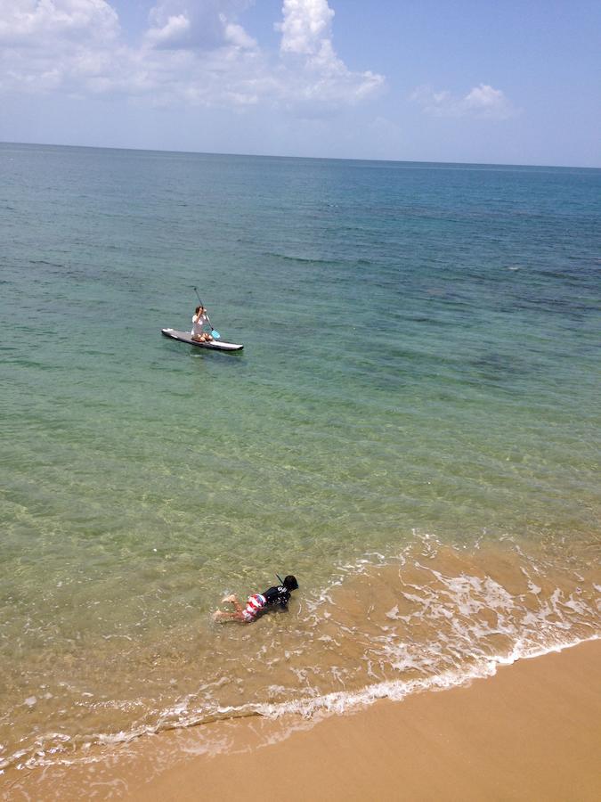 Lemon Tree Ocean Front * Rincon
