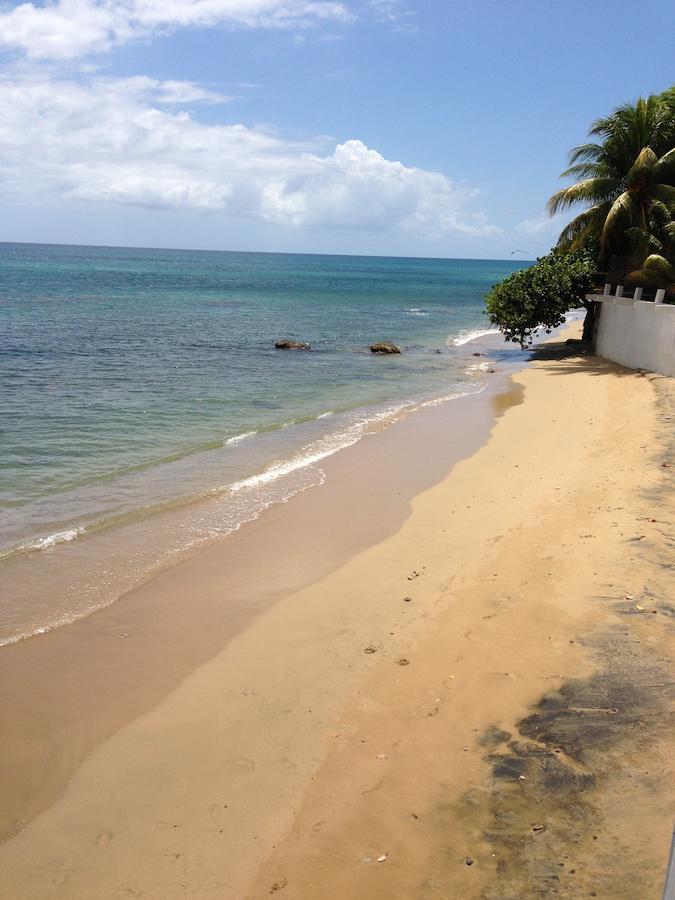 Lemon Tree Ocean Front * Rincon