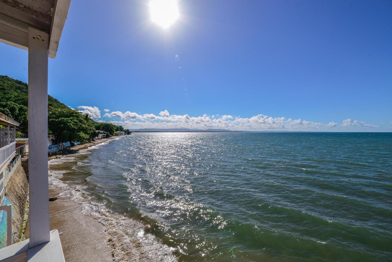 Lemon Tree Ocean Front * Rincon