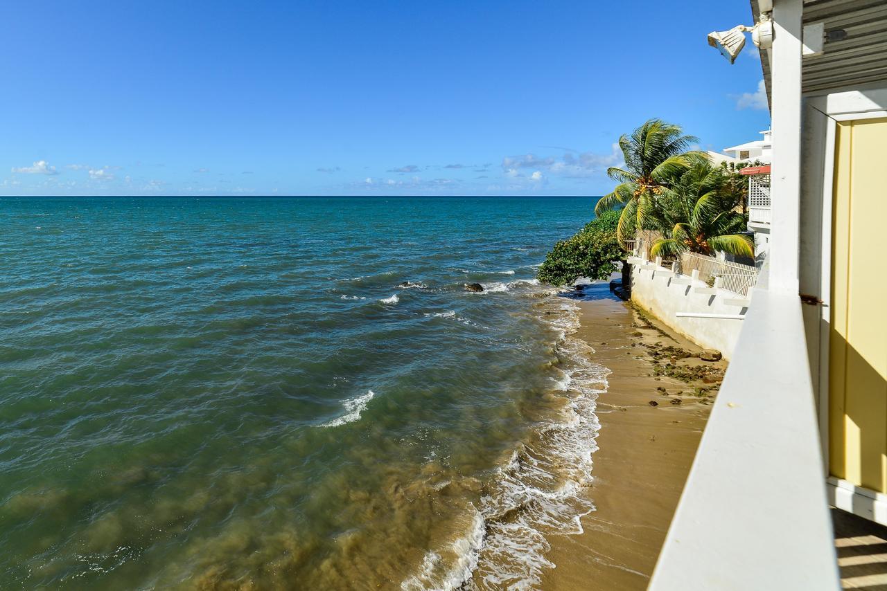 Hotel Lemon Tree Ocean Front Rincon