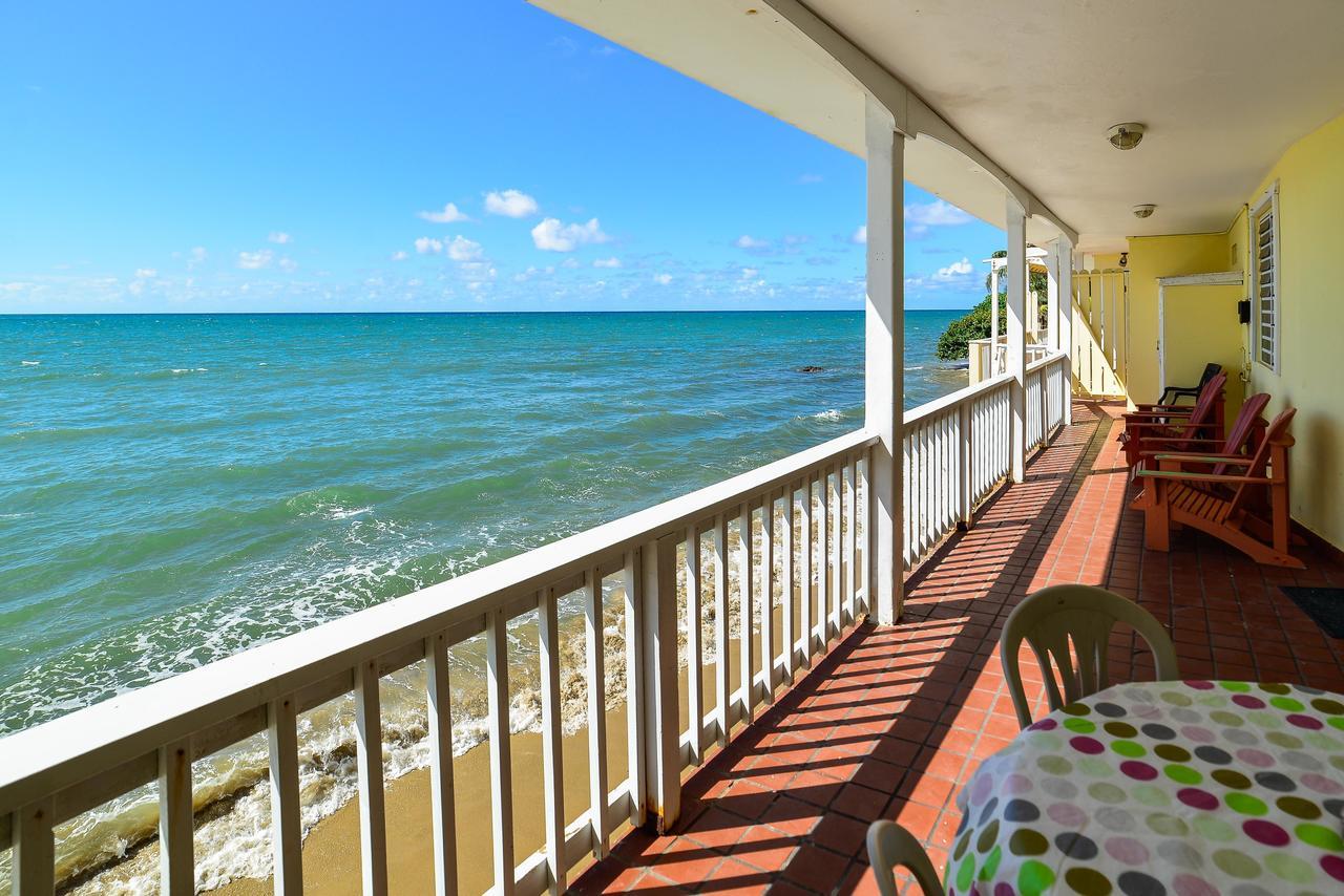 Lemon Tree Ocean Front *