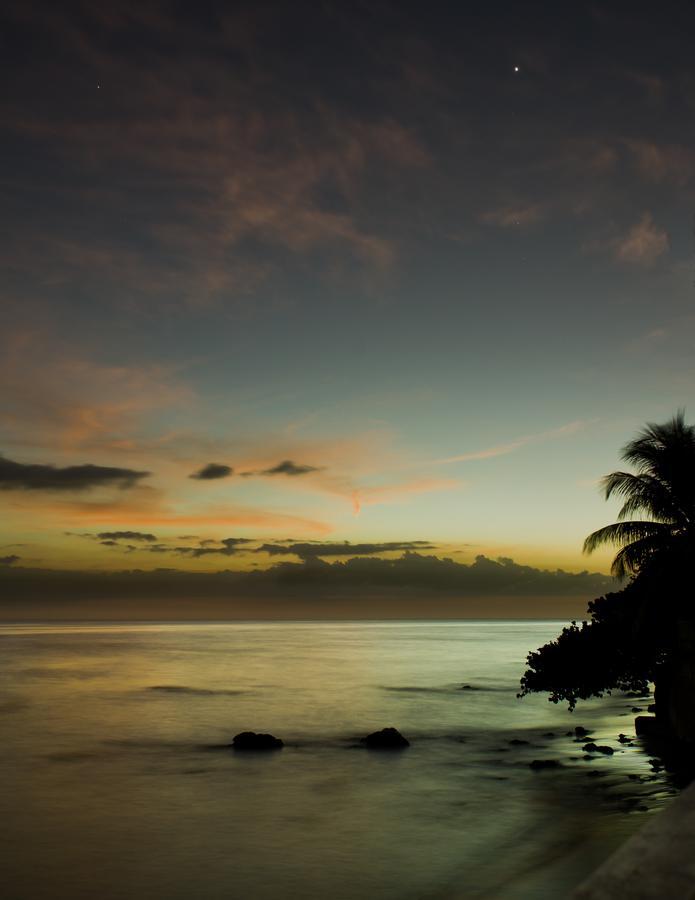 Lemon Tree Ocean Front Rincon