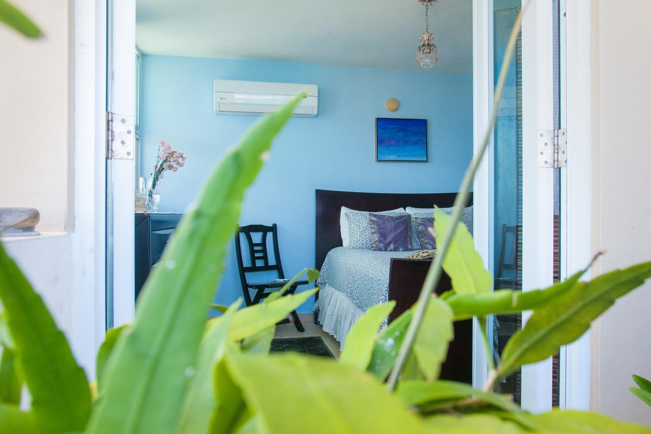 The Buddha Garden Apartment Cabo Rojo