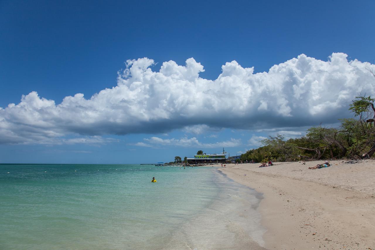 The Buddha Garden Apartment Cabo Rojo