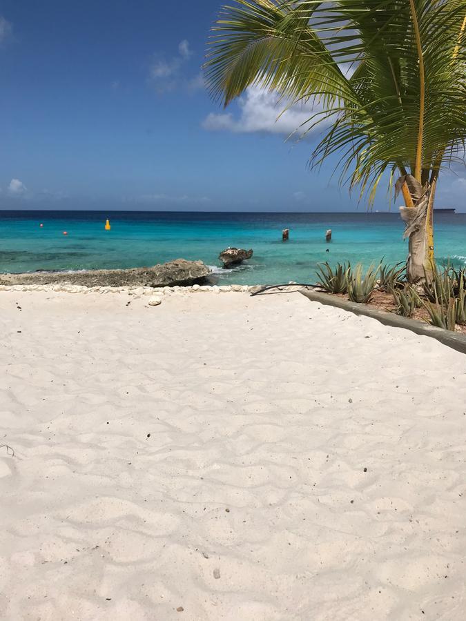 Bonaire Boutique Resort 4*