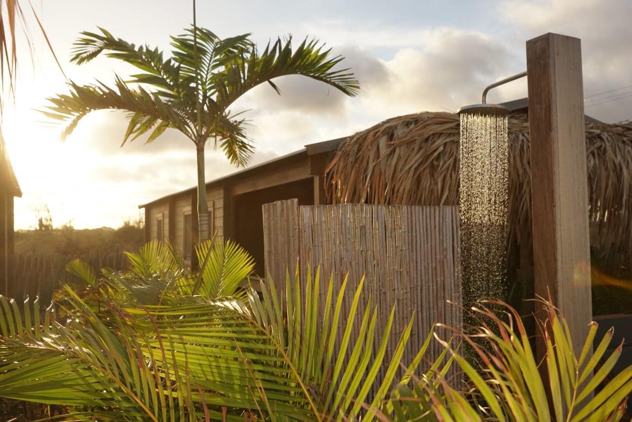 Resort Bonaire Boutique Playa