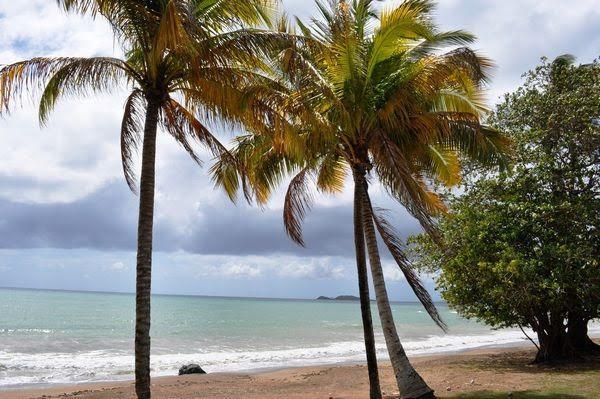 Beautiful Ocean View Apartamento *