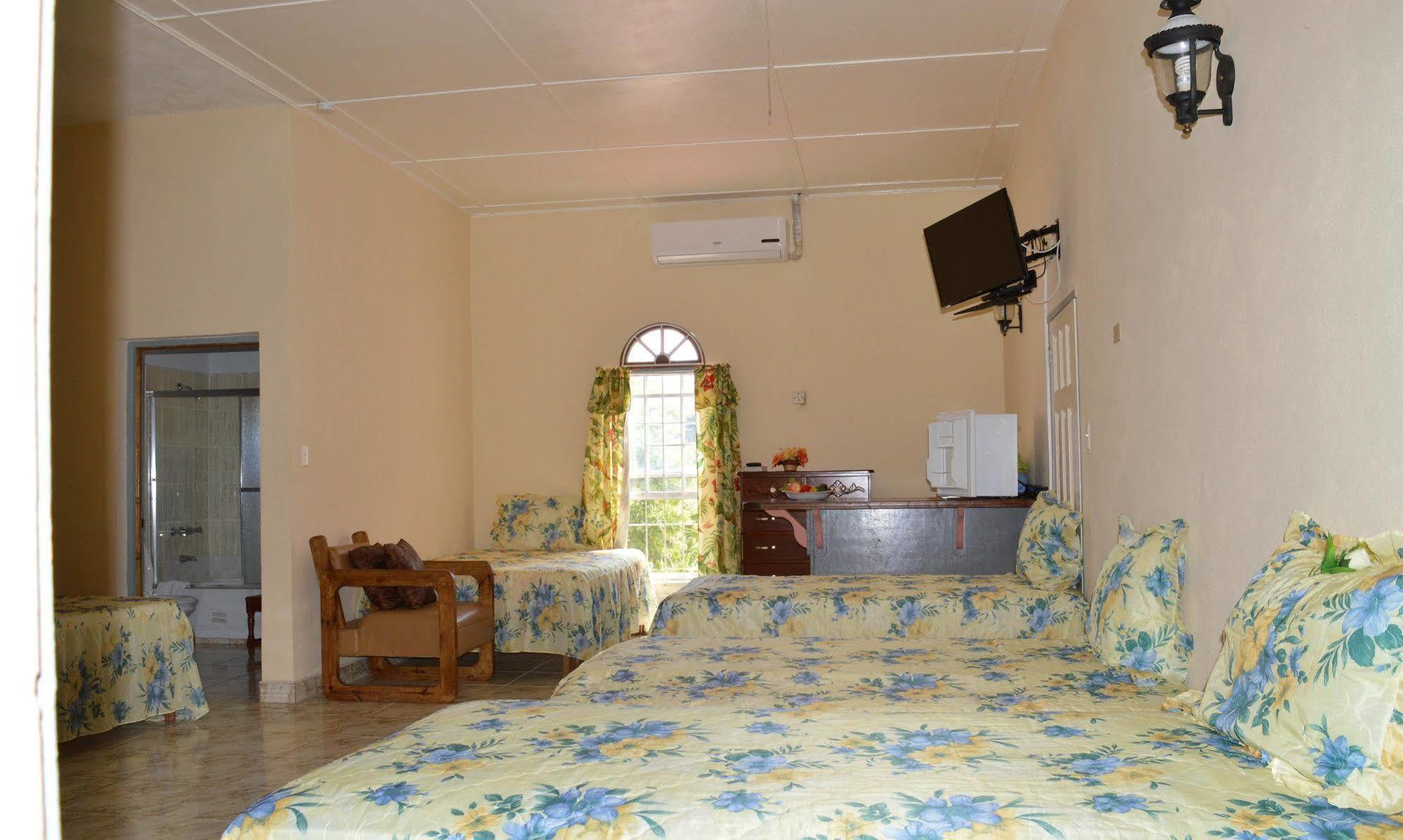 Casa De Shalom 3* Ocho Rios
