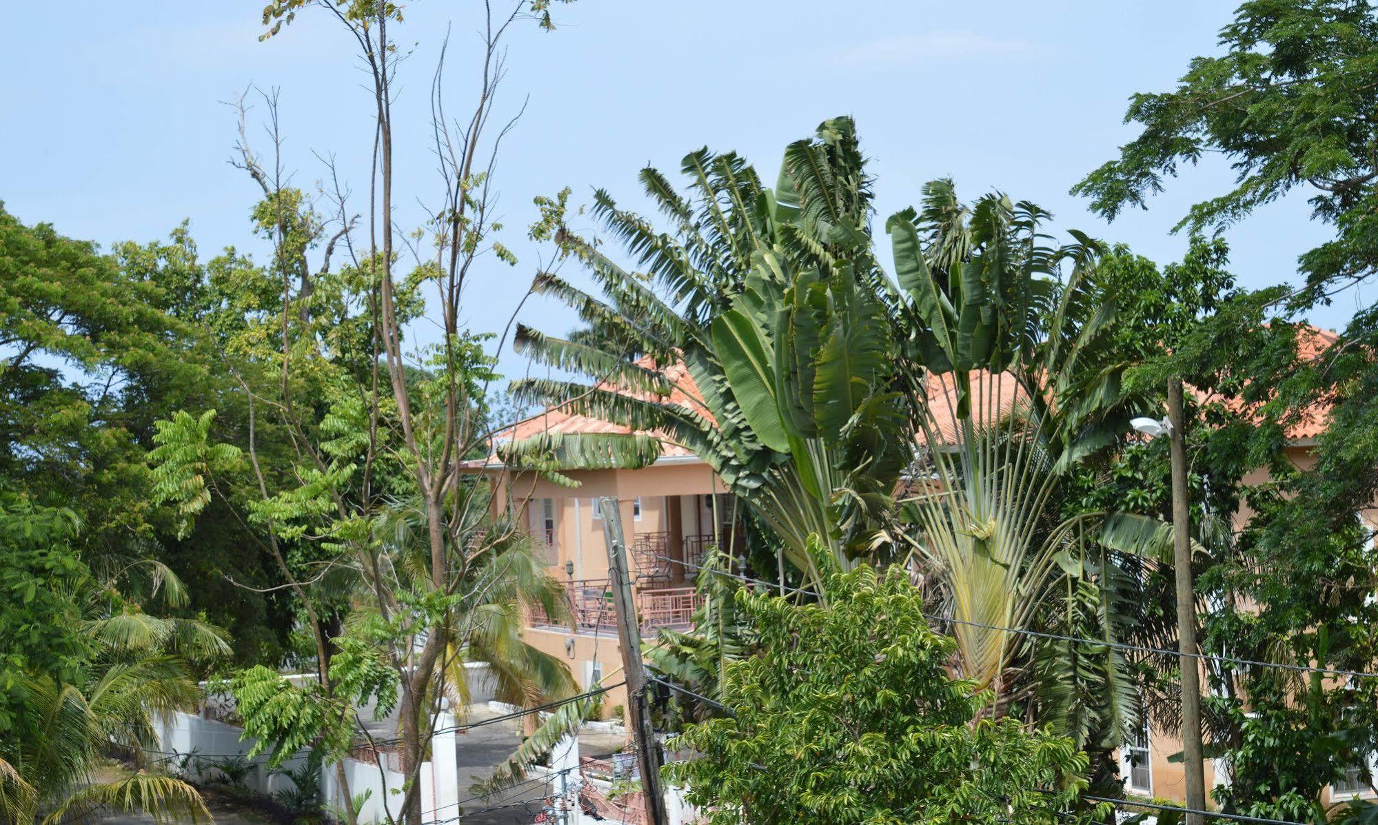 Casa De Shalom Hotel Ocho Rios