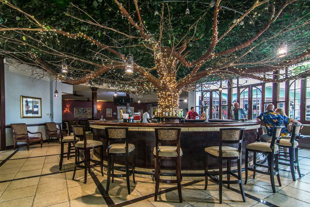 Jewel Dunn's River Adult & 4*