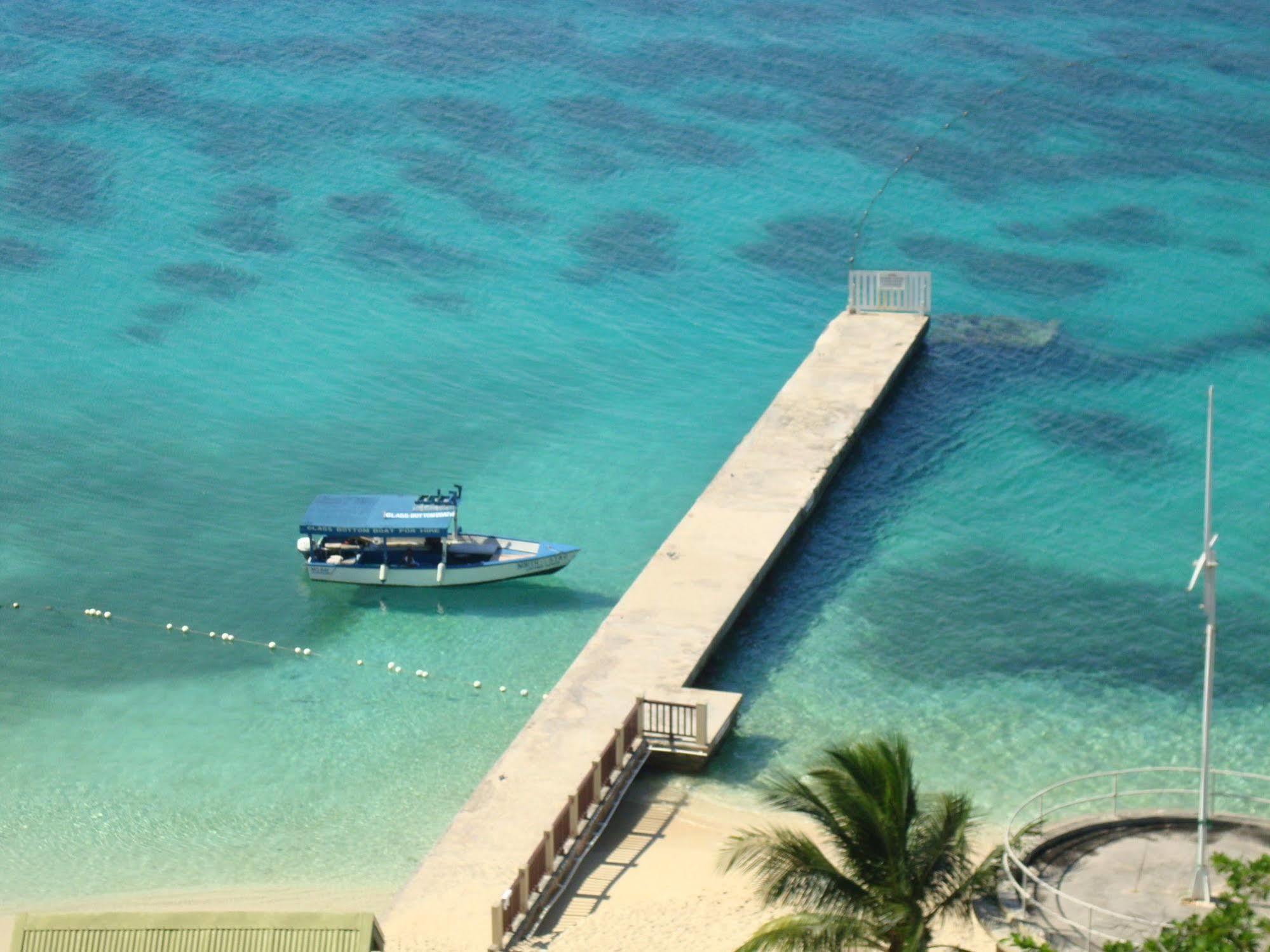Coral Reef At Club Hotel