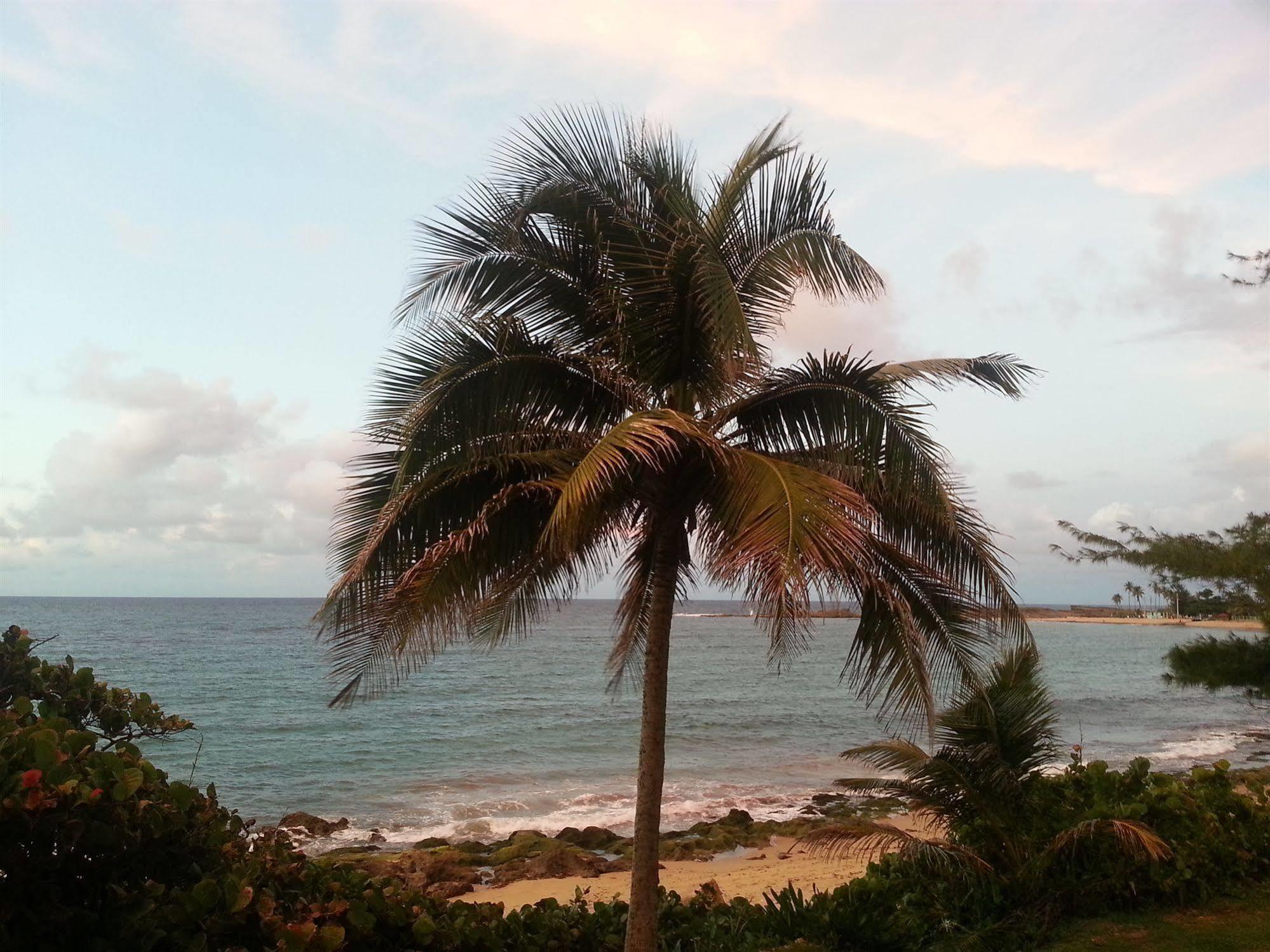 Hotel Costa Dorada & Isabela