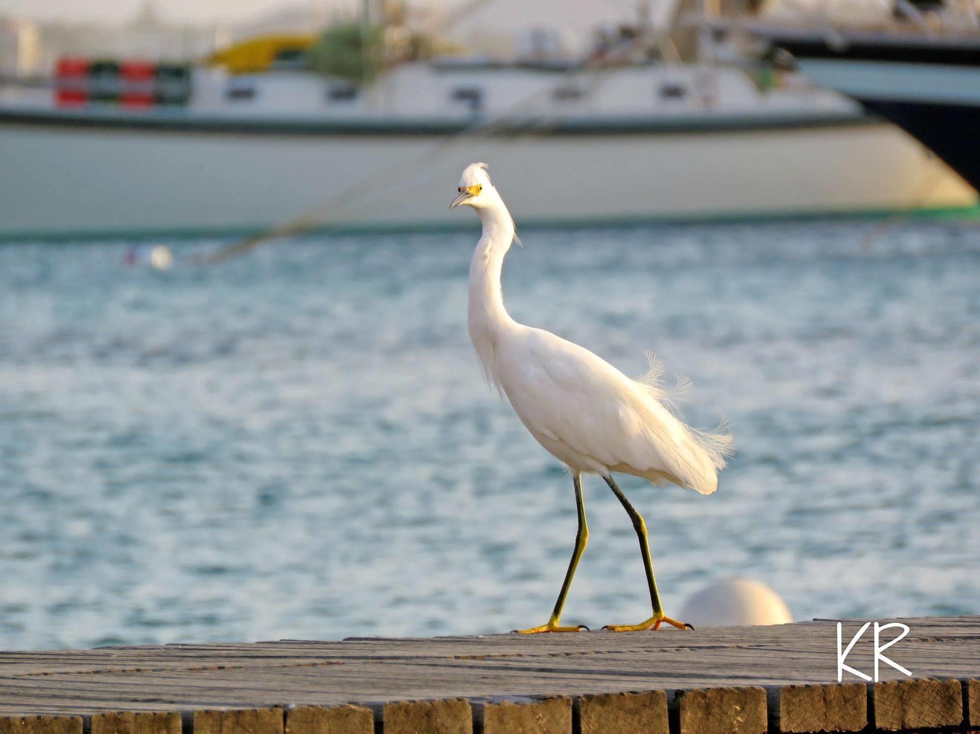 Apartment Treasure By The Sea Bonaire