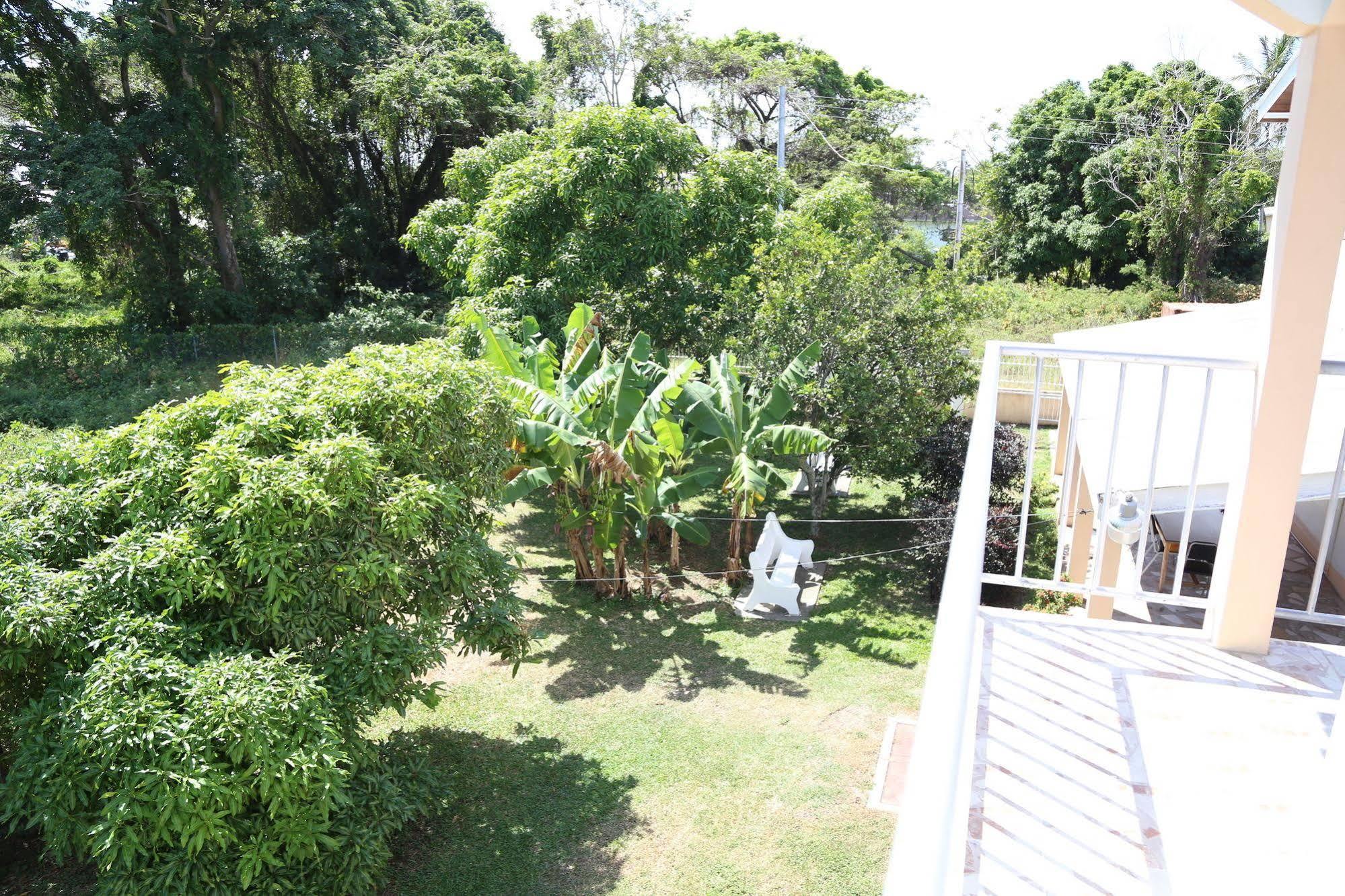 Hotel Lesville Tobago 3*