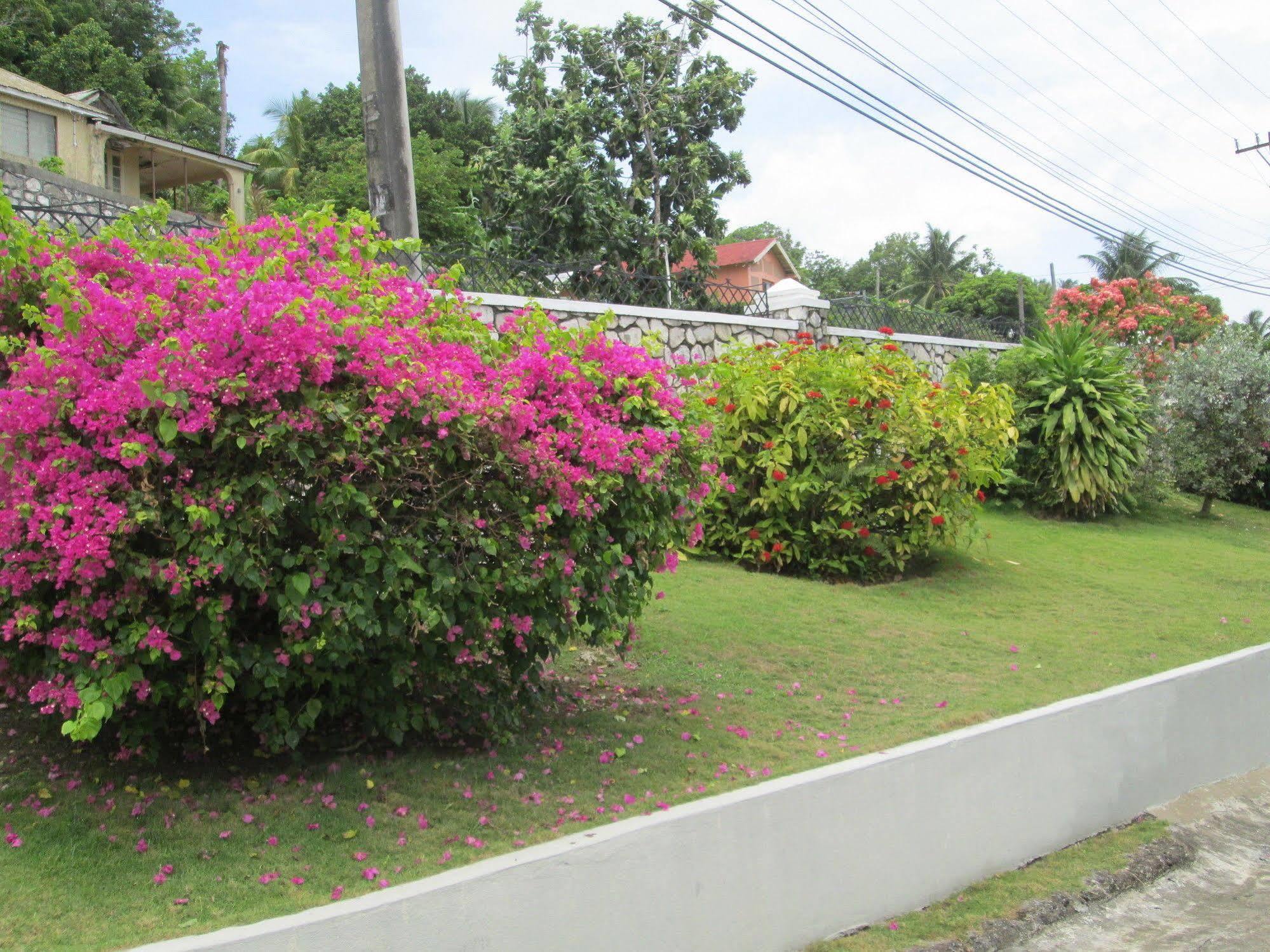 Paradise Port Antonio