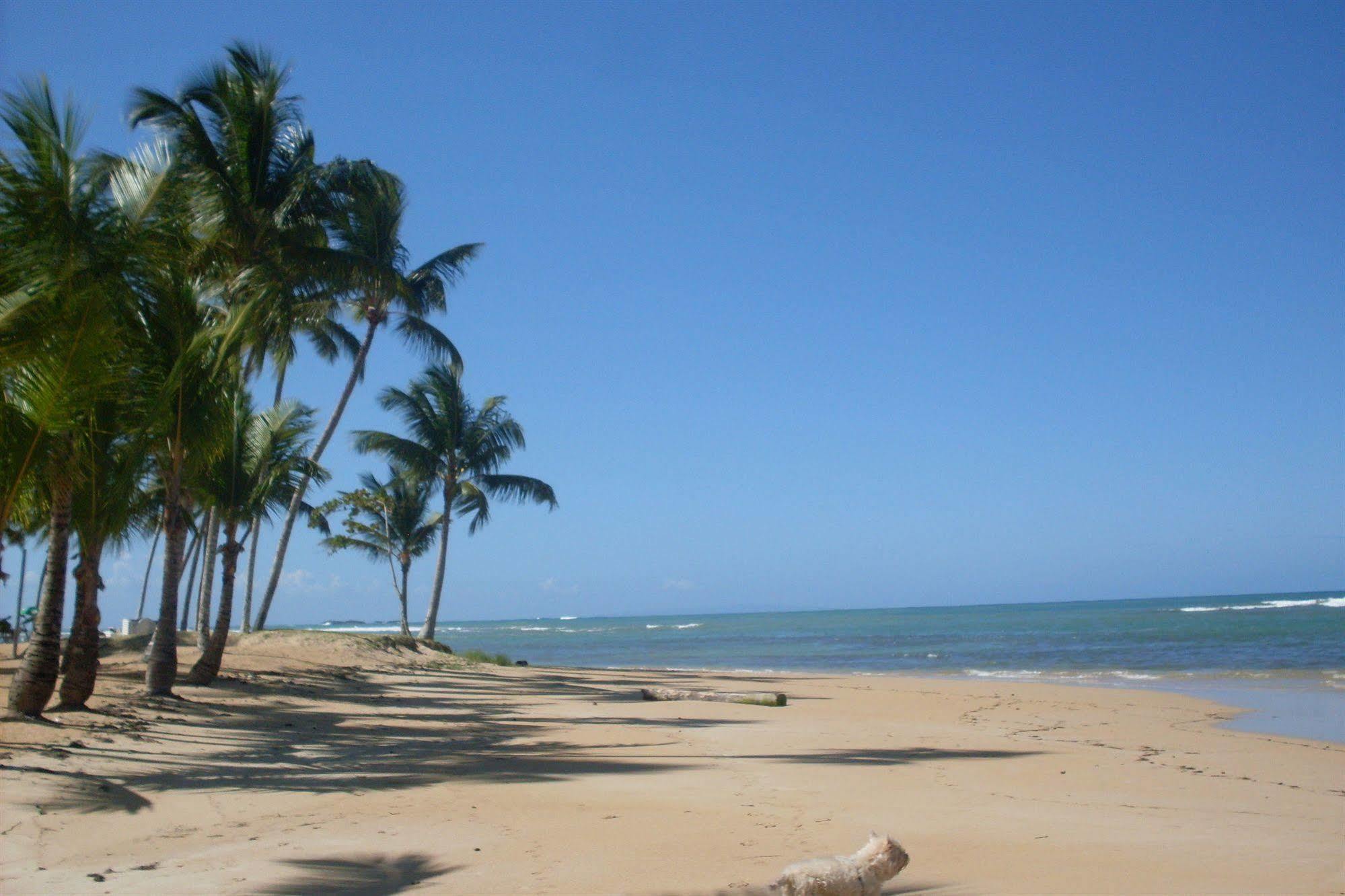 Hotel La Tortuga