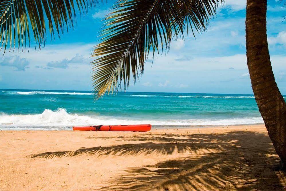 Resort Montana Beach 4*